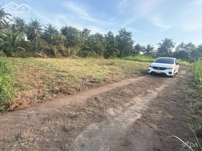 Hình ảnh bán nền biệt thự 500m2 , xã huwu định , bên tre 1