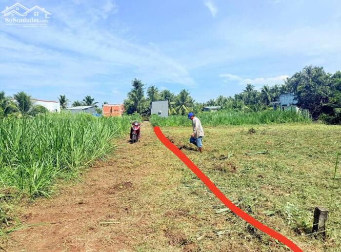 Hình ảnh bán nền biệt thự 500m2 , xã huwu định , bên tre 0