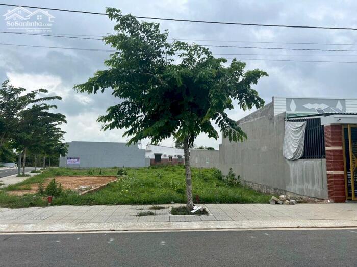 Hình ảnh Ngộp bán gấp lô đất Phước Hải - BRVT chỉ từ 800tr, ngay đường nhựa tim vàng 3