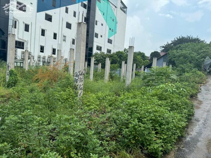 Hình ảnh SIÊU PHẨM LÔ GÓC 2218M² ĐẤT THƯƠNG MẠI DỊCH VỤ TRUNG TÂM, VĨNH YÊN 3