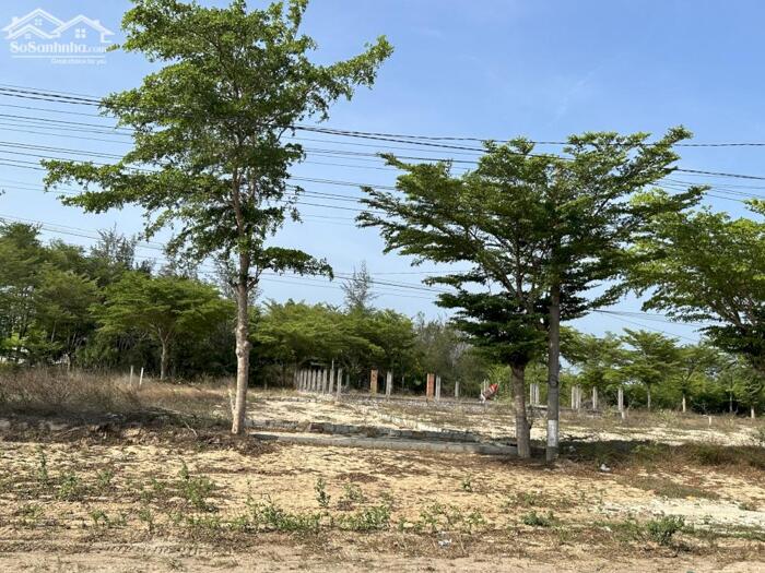 Hình ảnh 6x25(153m2) Nguyễn Tri Phương Tân Bình LaGi Gần Biển Giá Tốt 3