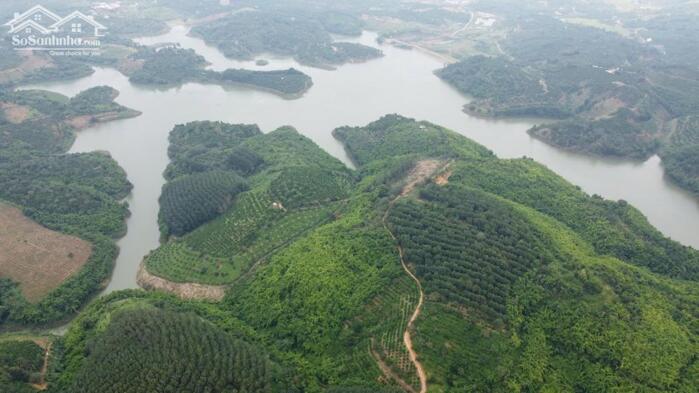 Hình ảnh 15ha View Hồ Tự Nhiên, Khu đông Dân Giá 7,5 Tỷ Tại Đắk Nông 1