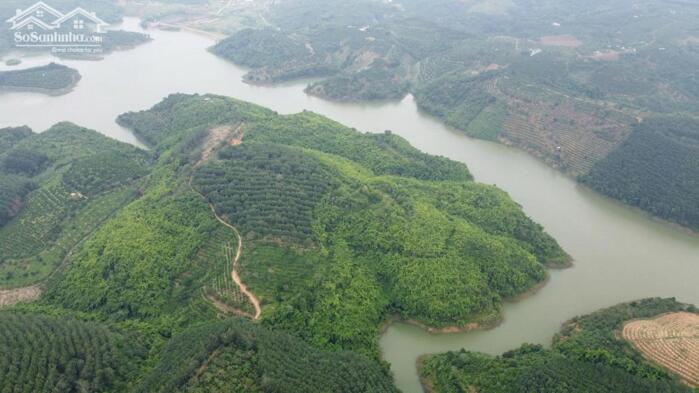 Hình ảnh 15ha View Hồ Tự Nhiên, Khu đông Dân Giá 7,5 Tỷ Tại Đắk Nông 0
