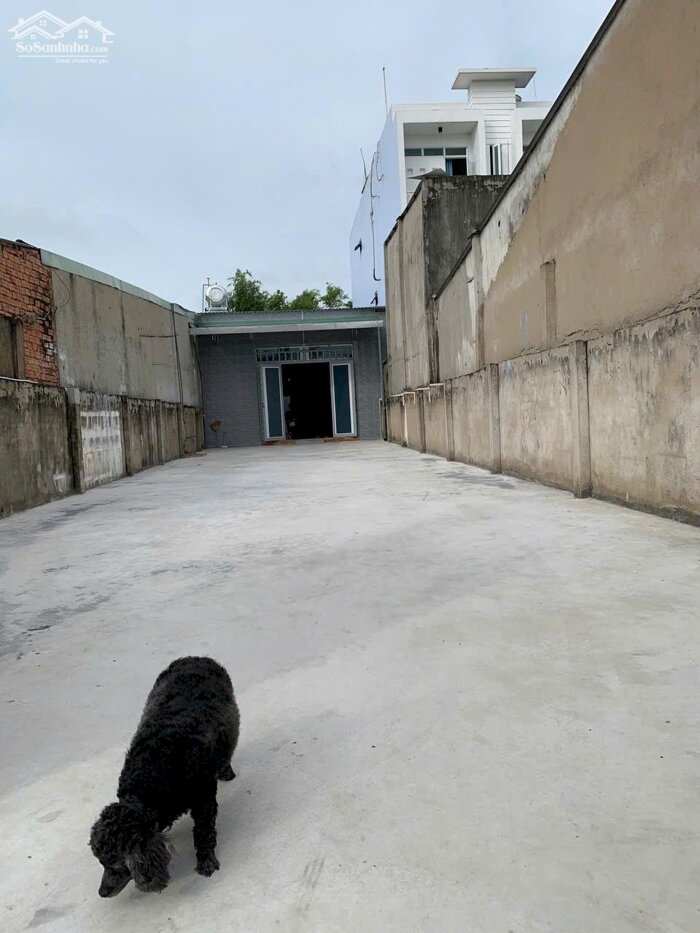 Hình ảnh Nhà cấp 4 mặt tiền Trịnh Thị Miếng-Thới Tam Thôn-Hóc Môn.Dt 6,9x44~295m2~14,5ty 0