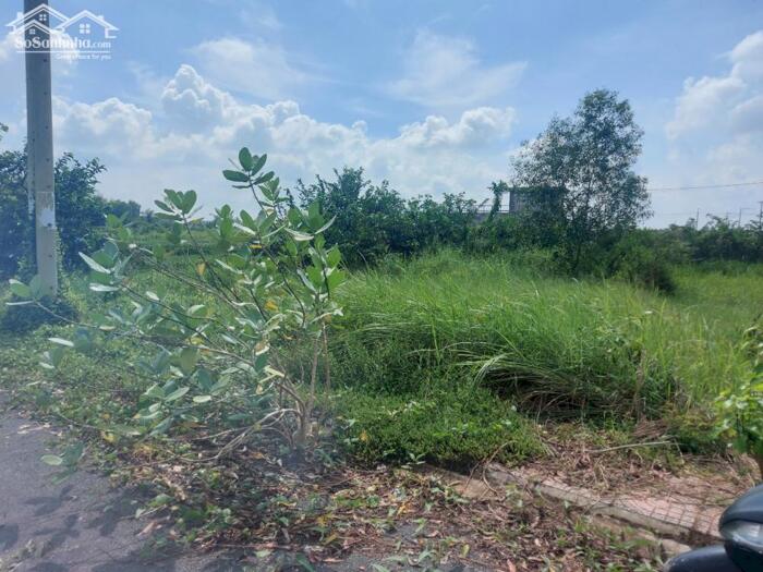 Hình ảnh Đất nền kdc An Phú Center 118m2 mt View Kênh giá rẻ đầu tư 730tr 3