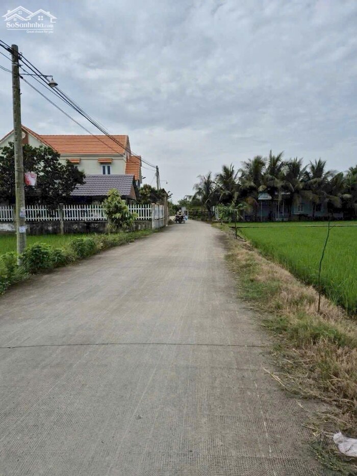 Hình ảnh Đất thổ cư 722m2 mt xe hơi xã Tân Lân mt đường 7m thích hợp phân lô bán nền giá rẻ 2 tỏi 6 1