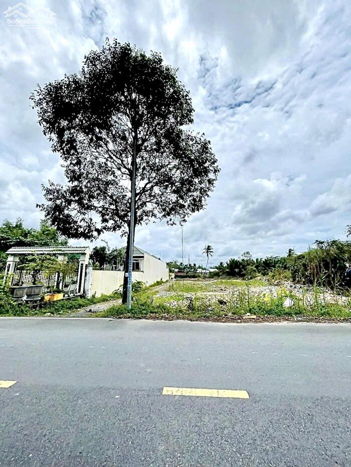 Hình ảnh Bán Nền mặt tiền đường Trương Vĩnh Nguyên - Cách trường Tiểu học Phú Thứ 3 200m 0