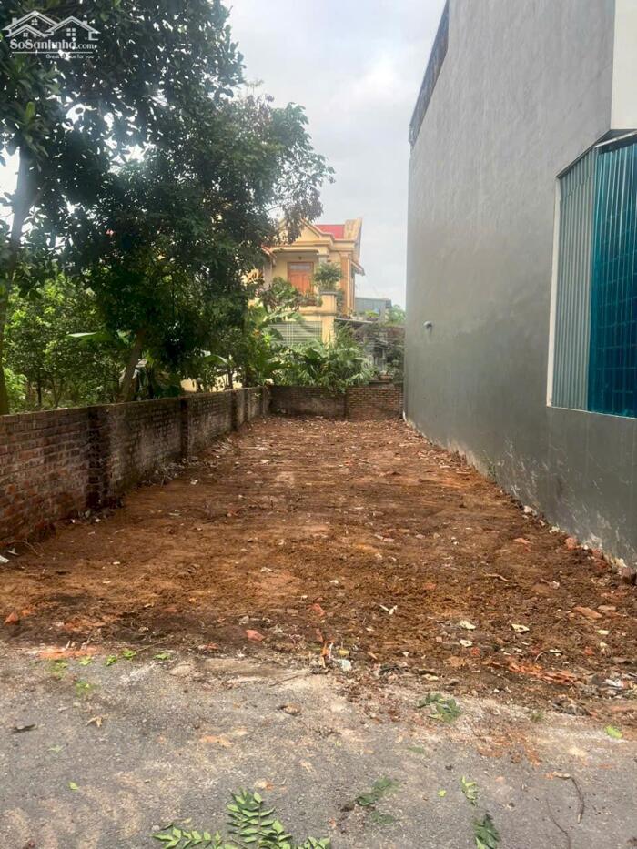 Hình ảnh Bán ô đất TDP Đôn Hậu, Khai Quang, Vĩnh Yên, Vĩnh Phúc 3