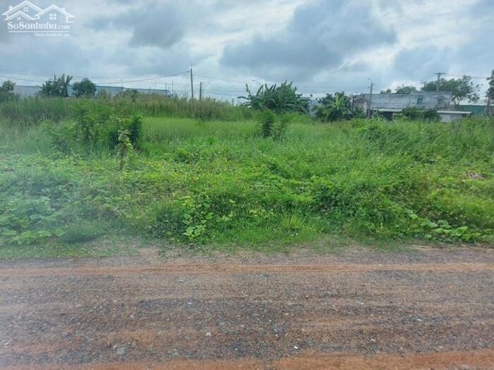 Hình ảnh Đất nền kdc Phước Đông 100m2 giá ngộp cần bán gấp 860tr 1