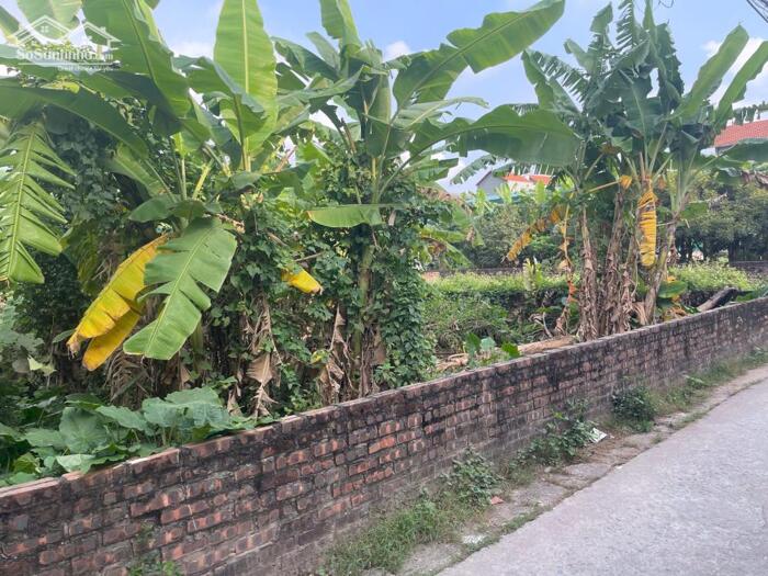 Hình ảnh Bán 100m2 đất vườn có thể lên thổ cư tại tổ 4 Cự Khối, cạnh siêu dự án ven sông Hồng 3