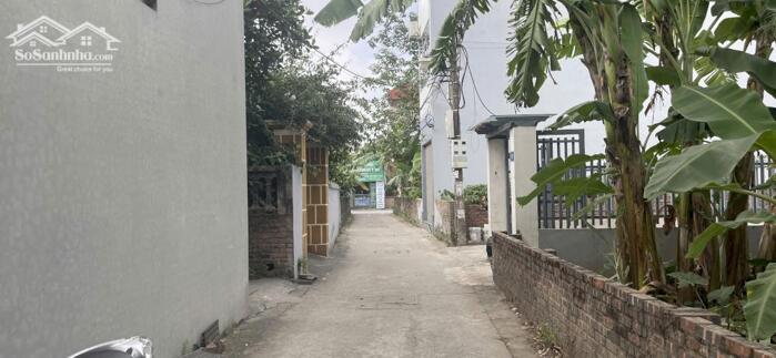 Hình ảnh Bán 100m2 đất vườn có thể lên thổ cư tại tổ 4 Cự Khối, cạnh siêu dự án ven sông Hồng 2