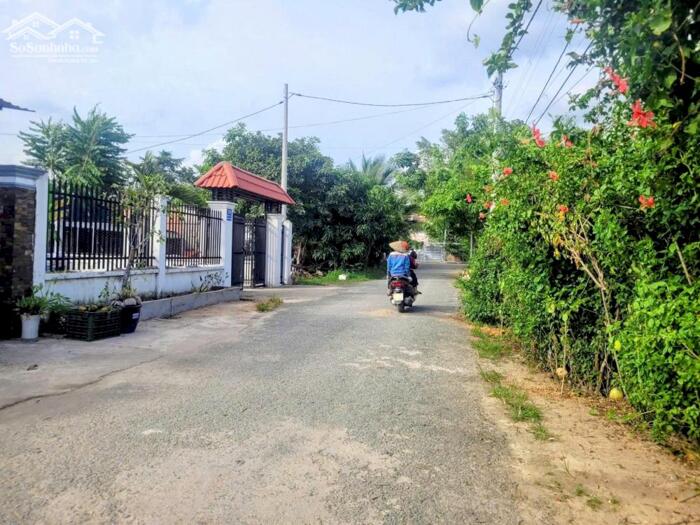 Hình ảnh Nhà vườn mặt tiền Nguyễn Thị Nghiêm-Bình Mỹ-Củ Chi.Dt 11,5x36~412m2~5,5ty 3