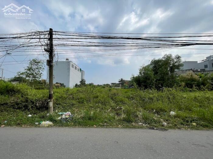 Hình ảnh BDS HVL Bán lô đất lớn Mặt tiền đường 8, Lò Lu, Trường Thạnh, Quận 9 cũ 1