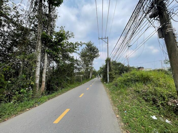 Hình ảnh BDS HVL Bán lô đất lớn Mặt tiền đường 8, Lò Lu, Trường Thạnh, Quận 9 cũ 3