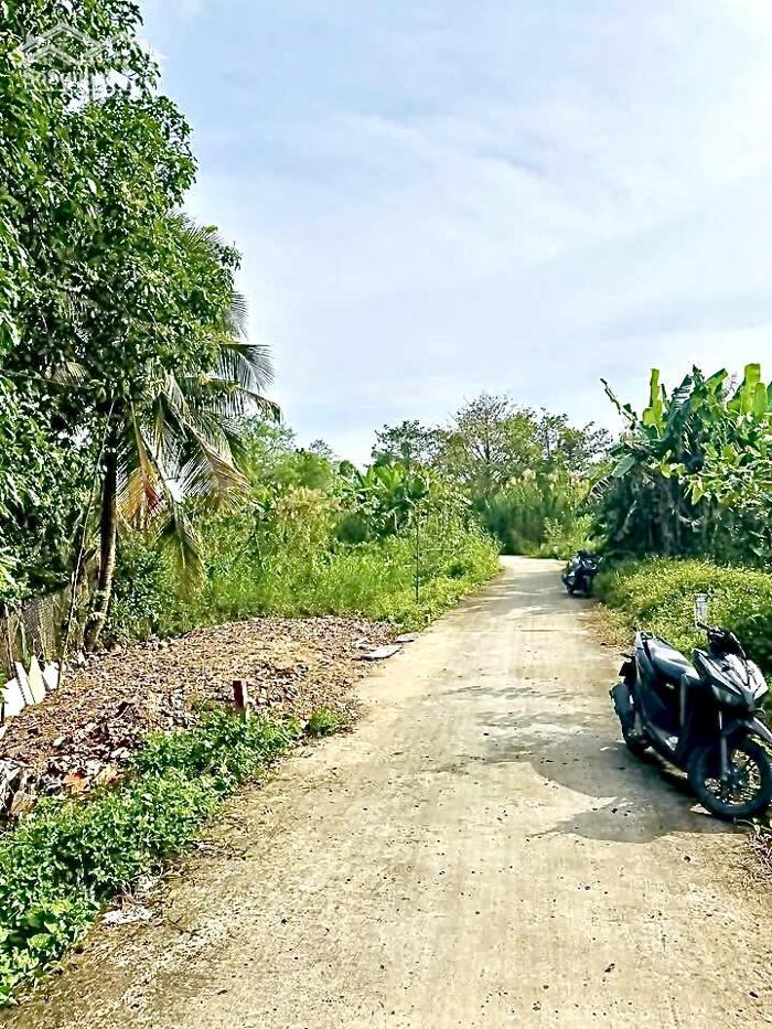 Hình ảnh Bán Nền Rạch Ngã Bát Đường Vườn Mận - Gần ĐH FPT, Nam Cần Thơ, Bệnh viện Nhi, SIS 3