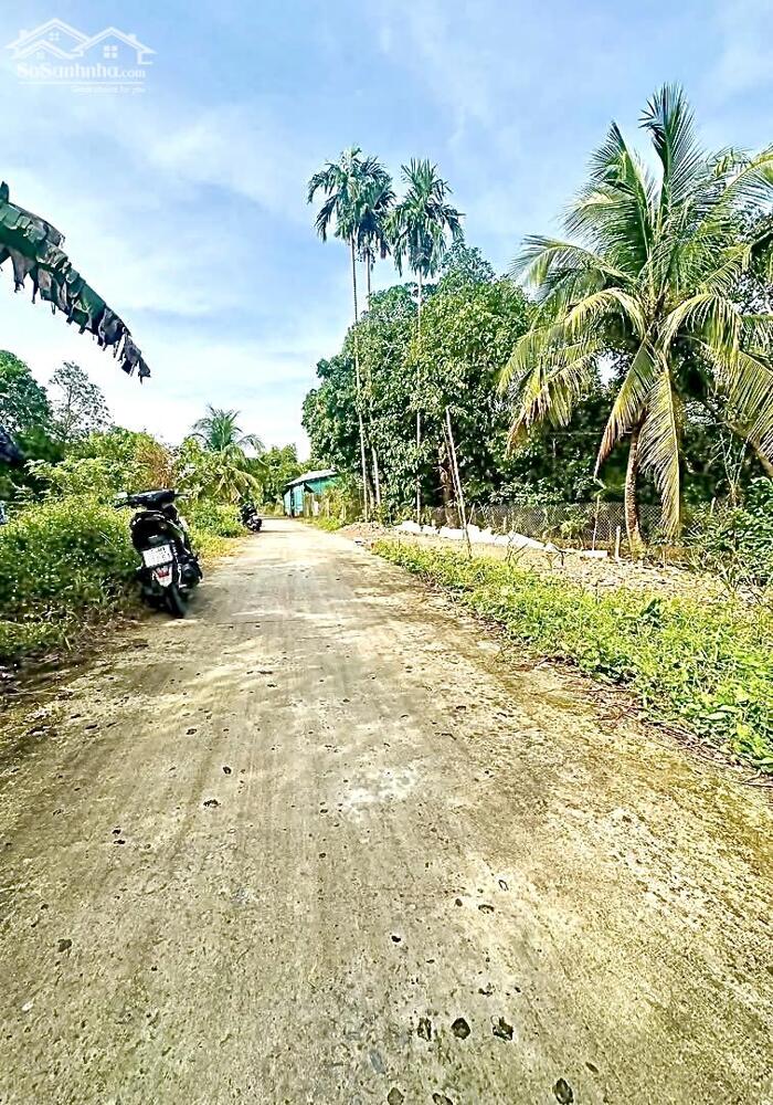 Hình ảnh Bán Nền Rạch Ngã Bát Đường Vườn Mận - Gần ĐH FPT, Nam Cần Thơ, Bệnh viện Nhi, SIS 2