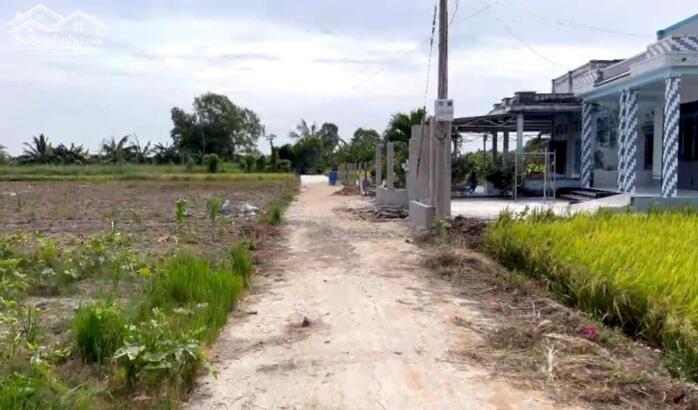 Hình ảnh (12x31) Đất xây nhà vườn, đường ôtô gần Chợ Tân Trung, QL50, TP Gò Công, Tiền Giang. 0