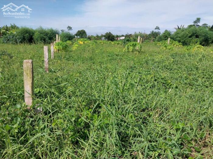 Hình ảnh (12x31) Đất xây nhà vườn, đường ôtô gần Chợ Tân Trung, QL50, TP Gò Công, Tiền Giang. 1