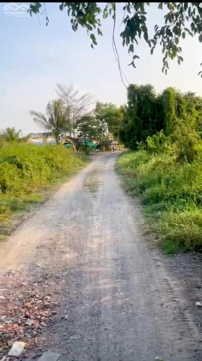 Hình ảnh 4045m2 có 3950m2 thổ cư 1/đường 177-Bình Mỹ-Củ Chi.36ty 1