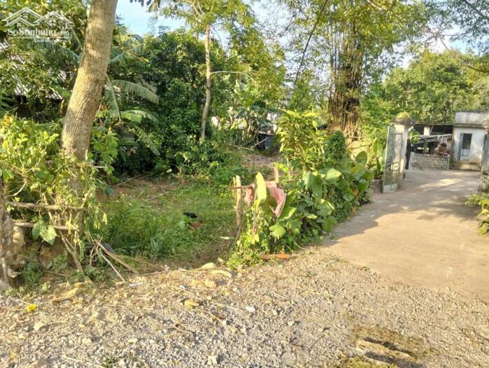 Hình ảnh BÁN ĐẤT TẠI PHÚ CƯỜNG – TÂN LẠC – HÒA BÌNH 1