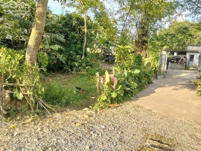 Hình ảnh BÁN ĐẤT TẠI PHÚ CƯỜNG – TÂN LẠC – HÒA BÌNH 5