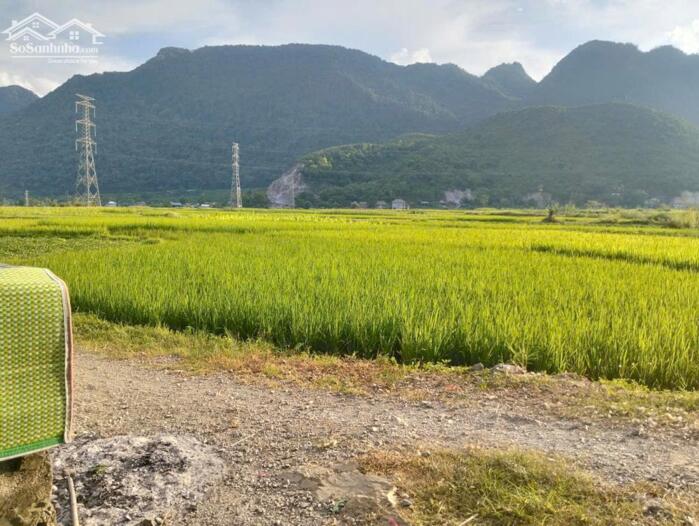 Hình ảnh BÁN ĐẤT TẠI PHÚ CƯỜNG – TÂN LẠC – HÒA BÌNH 0