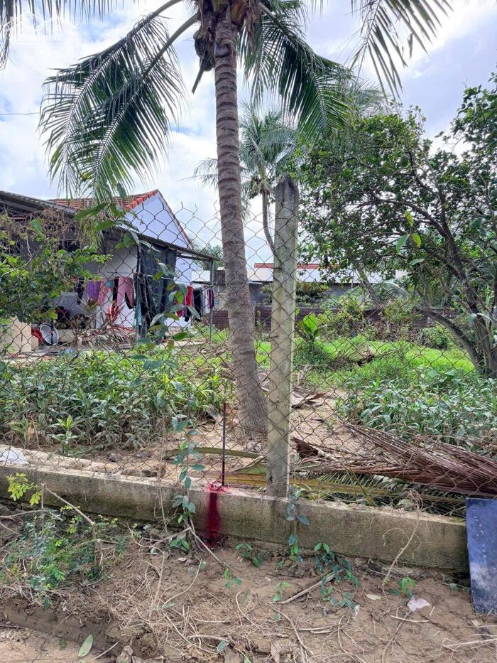 Hình ảnh DP75 Bán đất đường Xóm Tháp xa xDiene DDeiefn (diên Phú cũ) 7