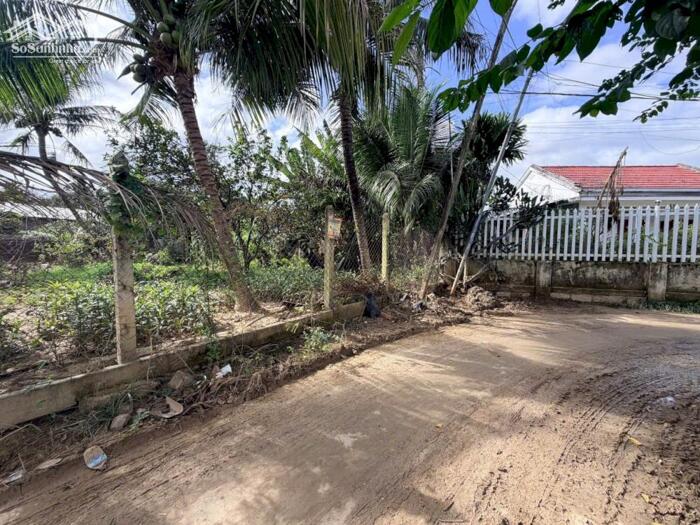 Hình ảnh DP75 Bán đất đường Xóm Tháp xa xDiene DDeiefn (diên Phú cũ) 3