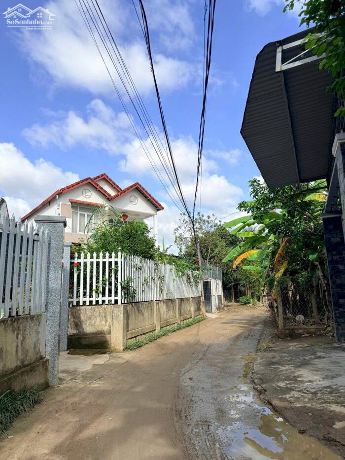 Hình ảnh DP75 Bán đất đường Xóm Tháp xa xDiene DDeiefn (diên Phú cũ) 6