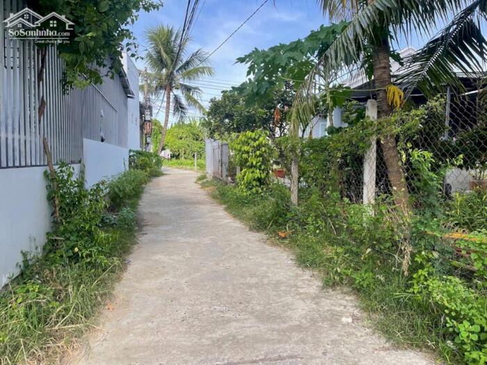 Hình ảnh DP75 Bán đất đường Xóm Tháp xa xDiene DDeiefn (diên Phú cũ) 0