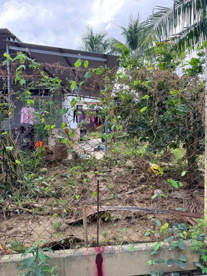 Hình ảnh DP75 Bán đất đường Xóm Tháp xa xDiene DDeiefn (diên Phú cũ) 1