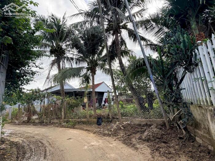 Hình ảnh DP75 Bán đất đường Xóm Tháp xa xDiene DDeiefn (diên Phú cũ) 4