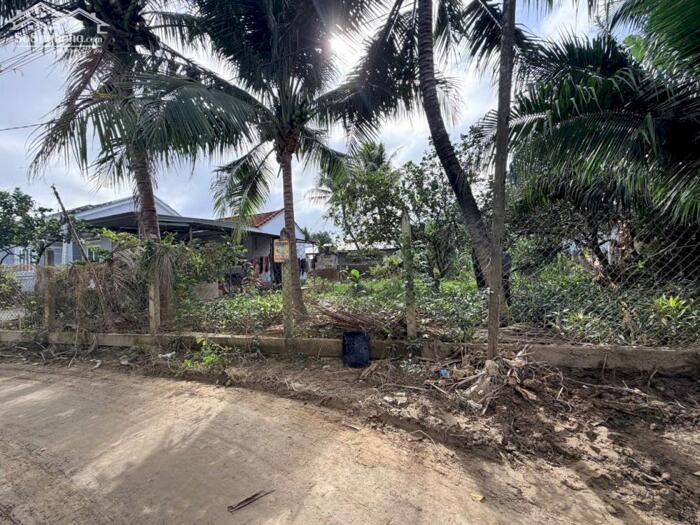 Hình ảnh DP75 Bán đất đường Xóm Tháp xa xDiene DDeiefn (diên Phú cũ) 8