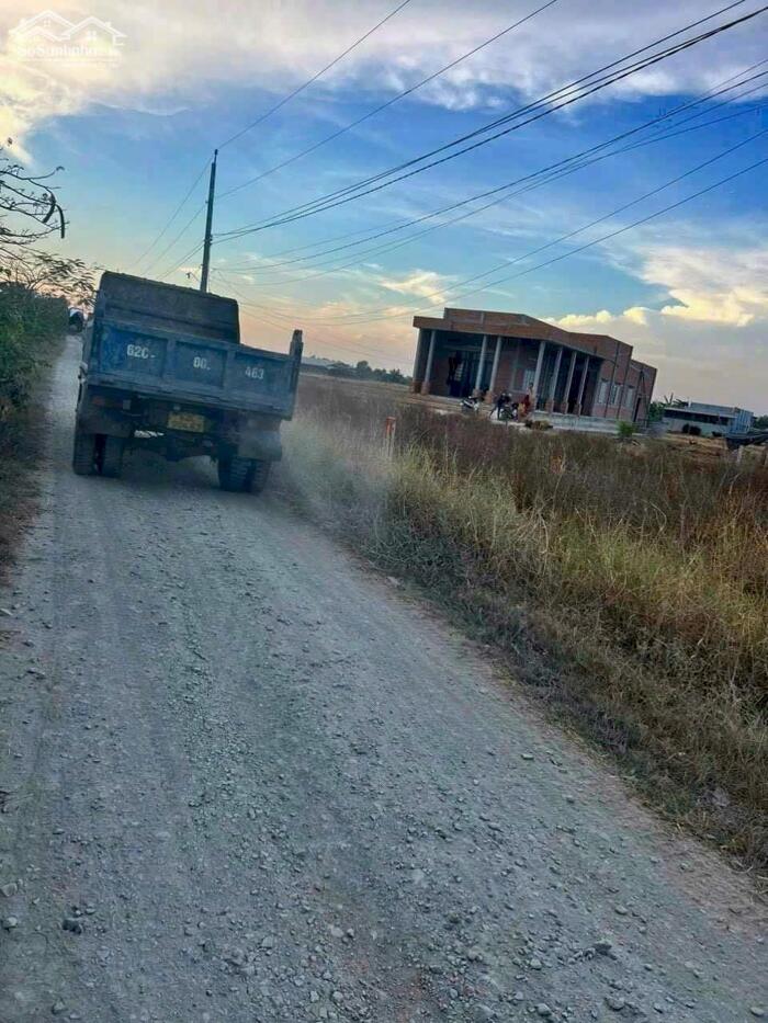 Hình ảnh Chủ cần bán 286m2 thổ lúa mt xe hơi xã Tân Lân giá rẻ đầu tư 850tr 0