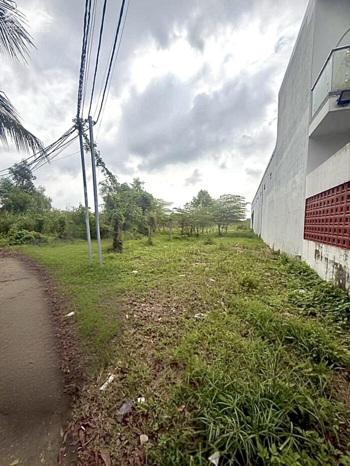 Hình ảnh Bán 300m2 Đất hẻm 2A đường Nguyễn Văn Cừ nối dài - Gần ĐH Nam Cần Thơ 0