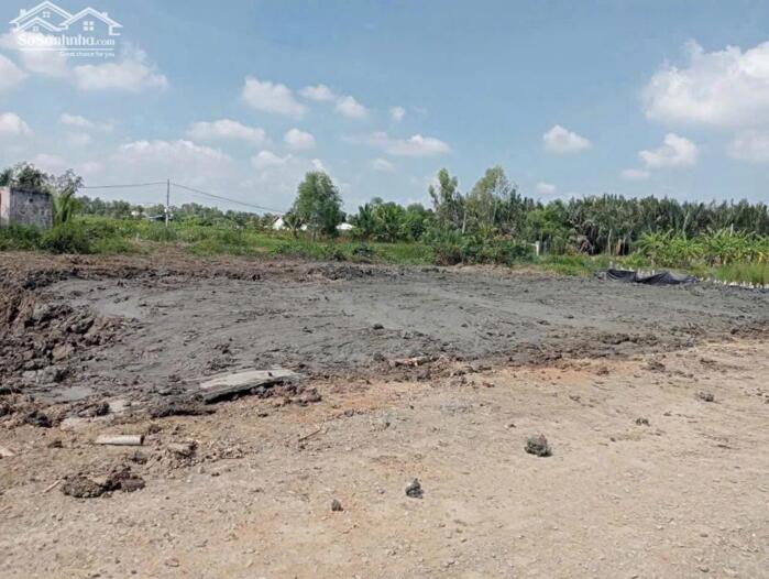 Hình ảnh Đất thổ cư 99m2 mt đường 7m xã Tân Chánh giá rẻ công nhân 450tr 4