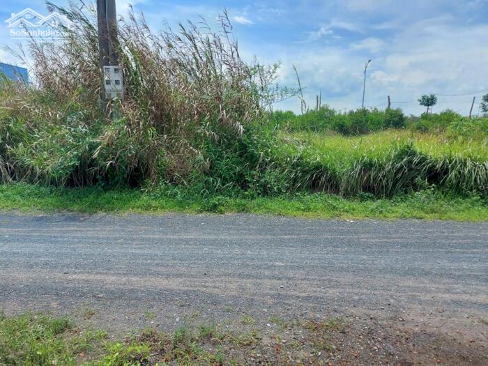 Hình ảnh Đất nền giá ngộp chủ cần bán gấp 80m2 tái định cư Phước Đông rẻ 650tr 4