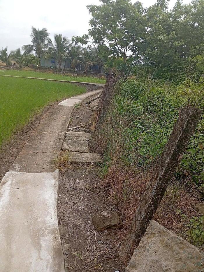 Hình ảnh Đất vườn giá rẻ 500m2 mt đường xe máy Phước Đông chỉ 650tr 1