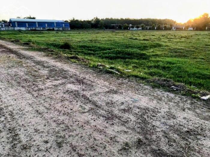 Hình ảnh 1,8ha đất có 3290m2 thổ cư 1/Bàu Trâm-Trung An-Củ Chi.68ty 2