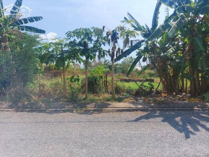 Hình ảnh Chủ hạ giá bán gấp 100m2 nền đẹp tdc Phước Đông rẻ 770tr 2