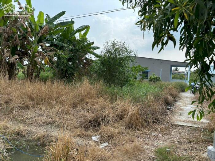 Hình ảnh 225tr b.á.n nền đất thổ cư tại Tân Trung, TP Gò Công, Tiền Giang cũ 1