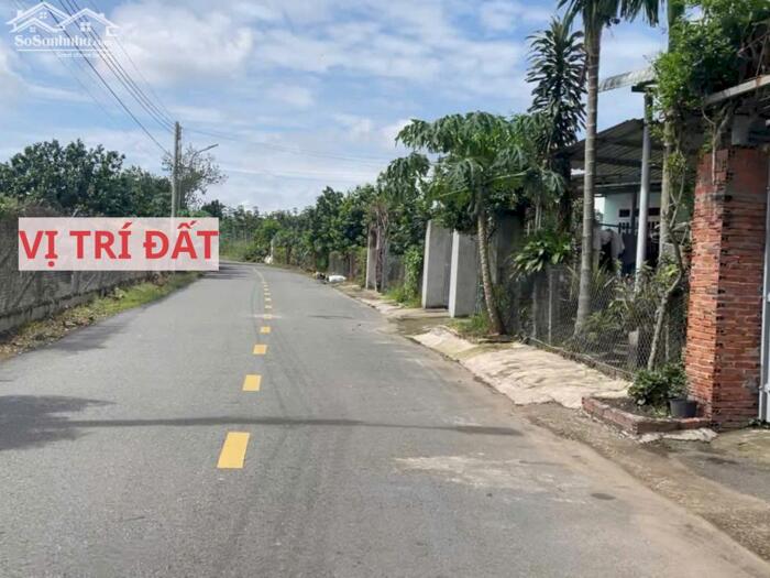 Hình ảnh Bán đất mặt tiền đường nhựa có sẵn vườn bưởi tại Trừ Văn Thố Bàu Bàng Bình Dương 0