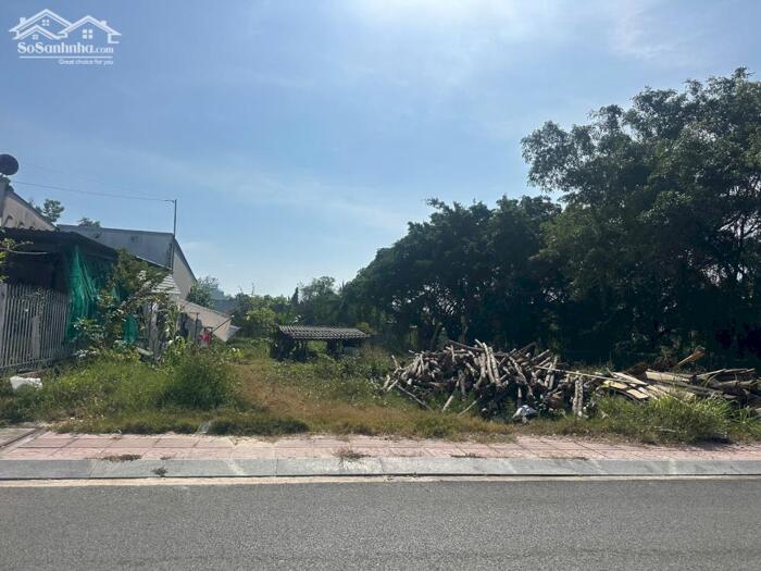 Hình ảnh 12x84(1064m2) 150m2 Thổ, Lê Hồng phong Tân Thiện, LaGi Cần Bán Giá Tốt 2