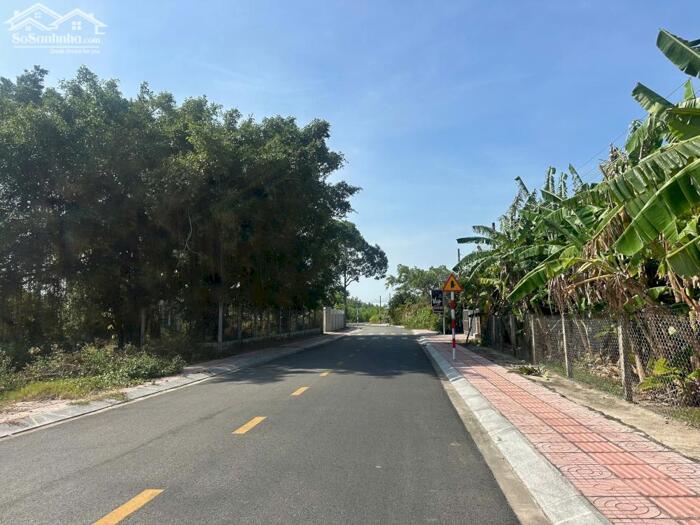 Hình ảnh 12x84(1064m2) 150m2 Thổ, Lê Hồng phong Tân Thiện, LaGi Cần Bán Giá Tốt 5