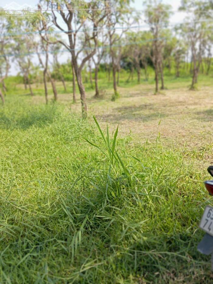 Hình ảnh Bán (10x40) đất thổ mặt tiền kênh 8 Trị, gần Cống Rạch Bùn – Tân Điền giá 700tr 4