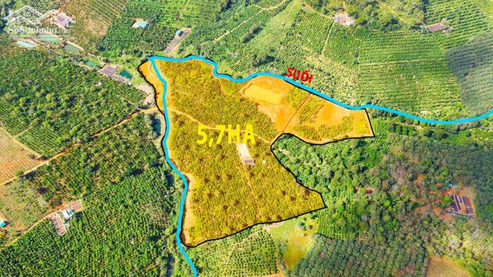 Hình ảnh 5,7ha coffee, đất bằng, kín gió, suối hồ nhà đầy đủ, khu dân cư đông 0