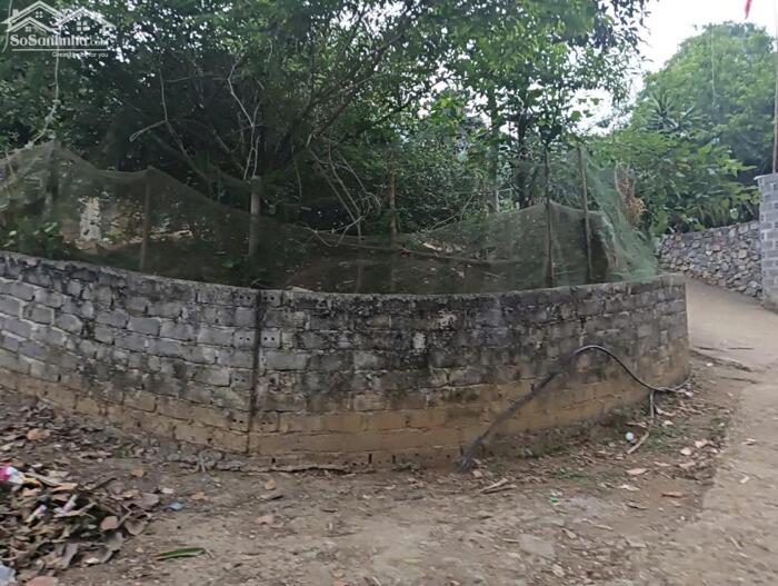 Hình ảnh Bán Đất Full Thổ Cư Tại Kim Bôi Hoà Bình 3