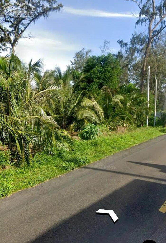 Hình ảnh Đất 2 Mặt tiền Biển-Lạc Long Quân-Tiến Thành(Phan Thiết)-Lâm Đồng-1.500m2,có 200m2 thổ cư. 3