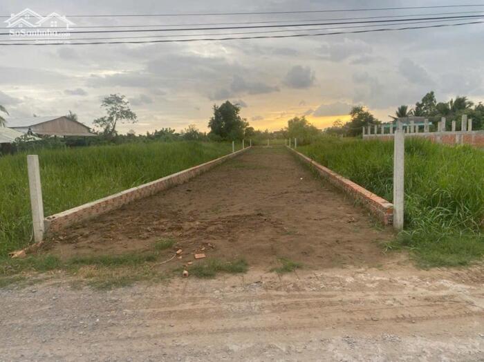 Hình ảnh Đất thổ cư 247m2 mt xe tải xã Tân Lân giá rẻ đầu tư 1 tỏi 250tr 0