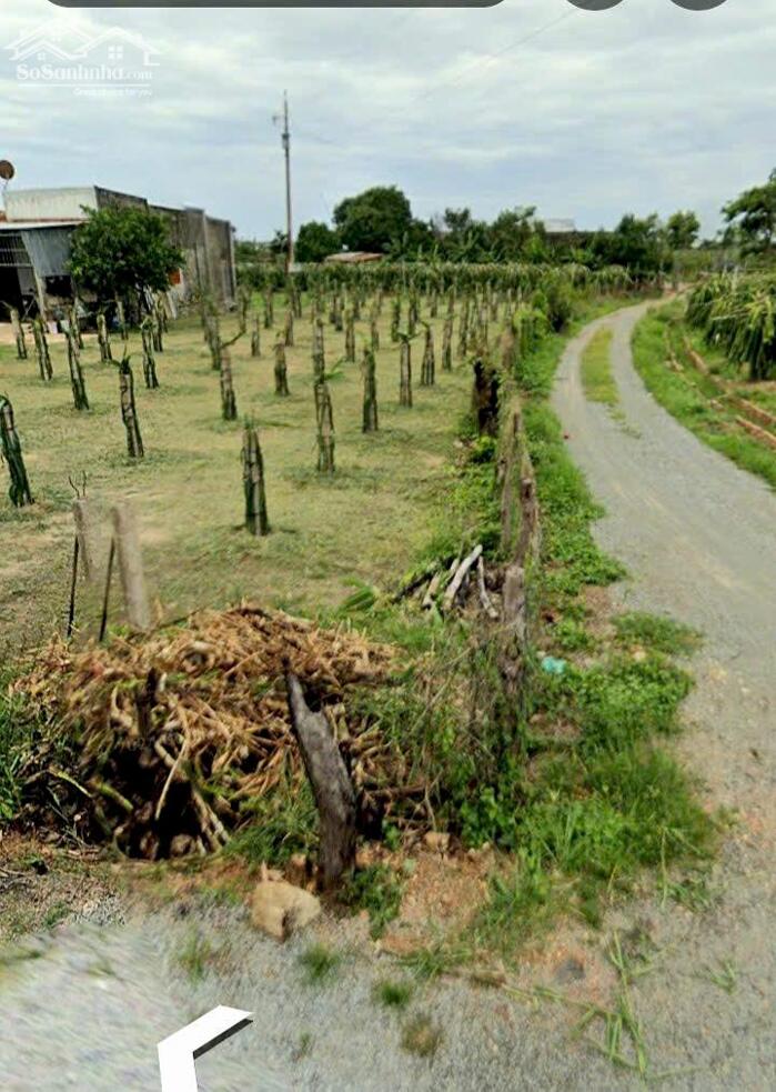 Hình ảnh Đất Ngộp-Hàm Thuận Nam(Hàm Minh)-Lâm Đồng-255m2,có 74m2TC,mặt tiền 7m 2